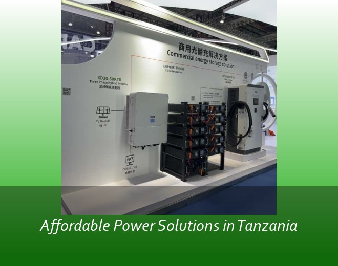 Affordable Power Solutions in Tanzania