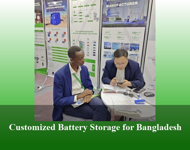 Customized Battery Storage for Bangladesh