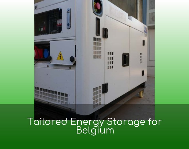 Tailored Energy Storage for Belgium