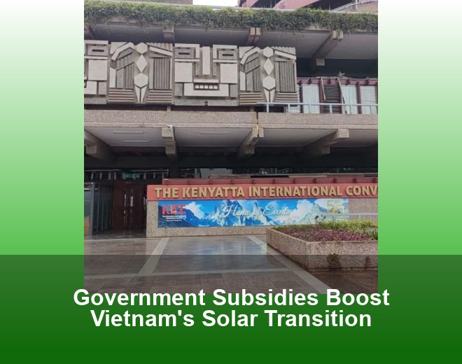 Government Subsidies Boost Vietnam's Solar Transition