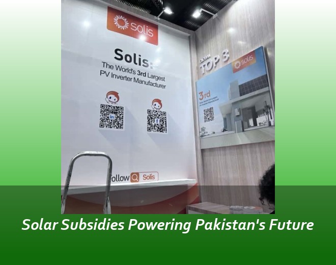 Solar Subsidies Powering Pakistan's Future